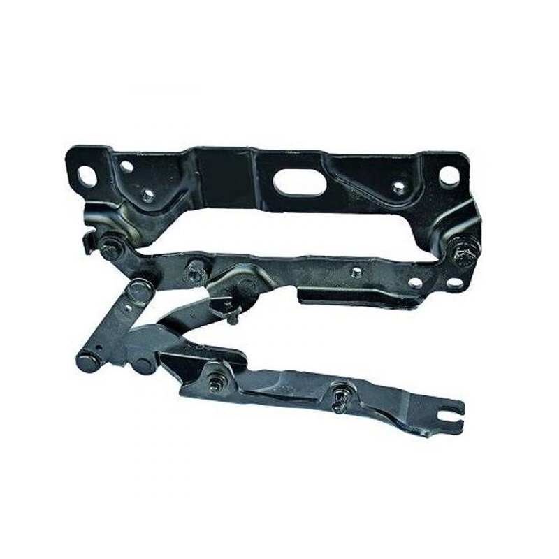 f10 motor kaput menteşesi sağ 41617207200